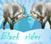 Blackrider
