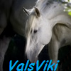ValsViki