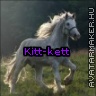 Kitt-kett