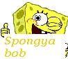 spongyabobkock