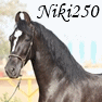 Niki250