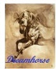 dreamhorse