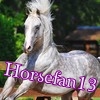 horsefan13