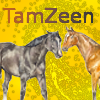 TamZeen