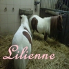 Lilienne