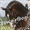 cowgirlbogi