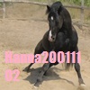 Hanna20011102