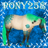 pony258