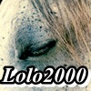 lolo2000