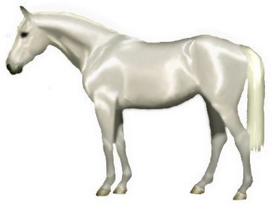 Nymphenburg Cavall