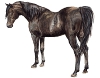 Altamira Altamira
