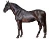 Jariat Epona III